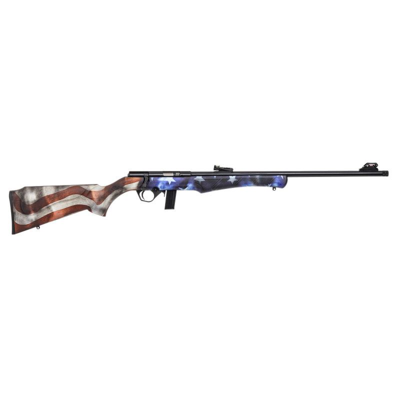 Carabine 22LR 8122 ROSSI USA - Catégorie C