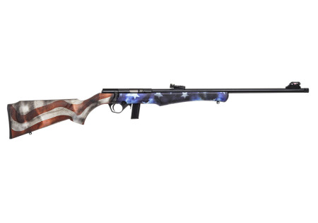 Carabine 22LR 8122 ROSSI USA - Catégorie C