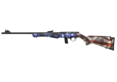 Carabine 22LR 8122 ROSSI USA - Catégorie C