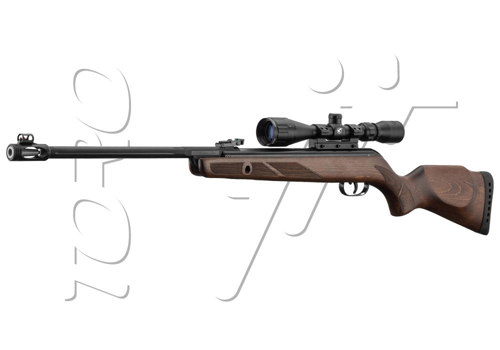 Carabine 4.5mm (Plomb) GAMO HUNTER 440 AS + LUNETTE 3-9X40 W