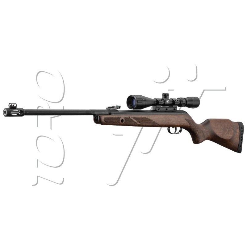 Carabine 4.5mm (Plomb) GAMO HUNTER 440 AS + LUNETTE 3-9X40 W