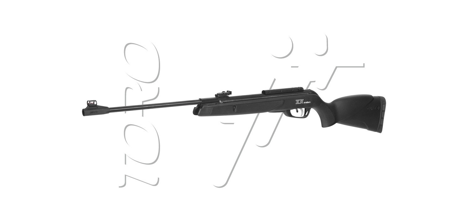 Carabine 4.5mm (Plomb) GAMO BIG CAT 1000 E-IGT