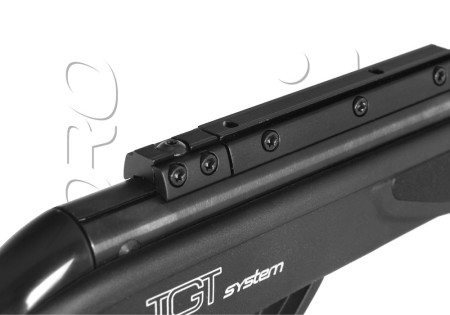 Carabine 4.5mm (Plomb) GAMO BIG CAT 1000 E-IGT