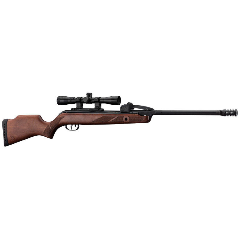 Carabine 4.5mm (Plomb) GAMO FAST SHOT BOIS IGT 10X GEN1 + LUNETTE 4X32 WR