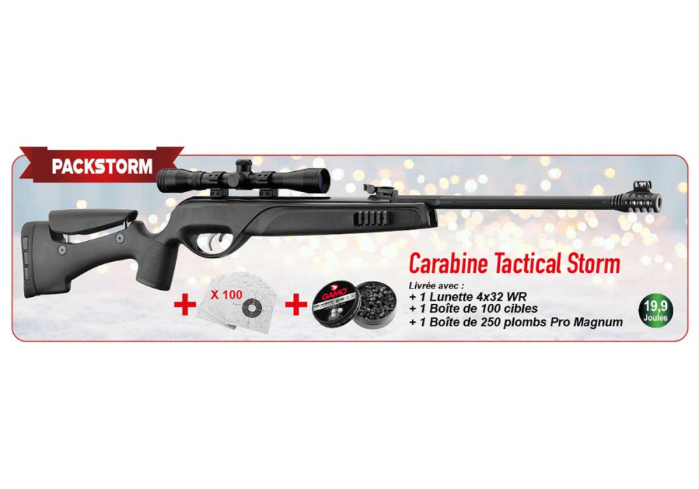 Pack carabine 4.5mm (Plomb) GAMO TACTICAL STORM BLACK + LUNETTE 4X32 WR + CIBLES + PLOMBS