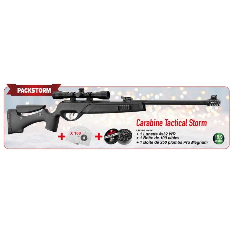 Pack carabine 4.5mm (Plomb) GAMO TACTICAL STORM BLACK + LUNETTE 4X32 WR + CIBLES + PLOMBS