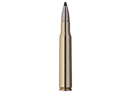 Cartouches CALIBRE 30-06 SPEED TIP PRO LONG RIFLE 165gr (10.7g) RWS X20 - Catégorie C