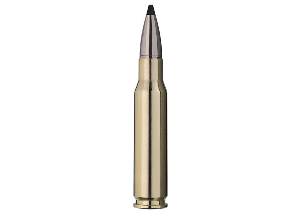 Cartouches CALIBRE 308 WIN SPEED TIP PRO LONG RIFLE 165gr (10.7g) RWS X20 - Catégorie C