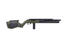 Fusil SNIPER HYBRID SERIES H-22 STC GBBR TYPE RUGER 10/22 GAZ GREEN ASG