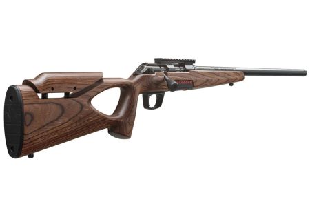 Carabine 22LR XPERT THUMBHOLE FILETE WINCHESTER - Catégorie C