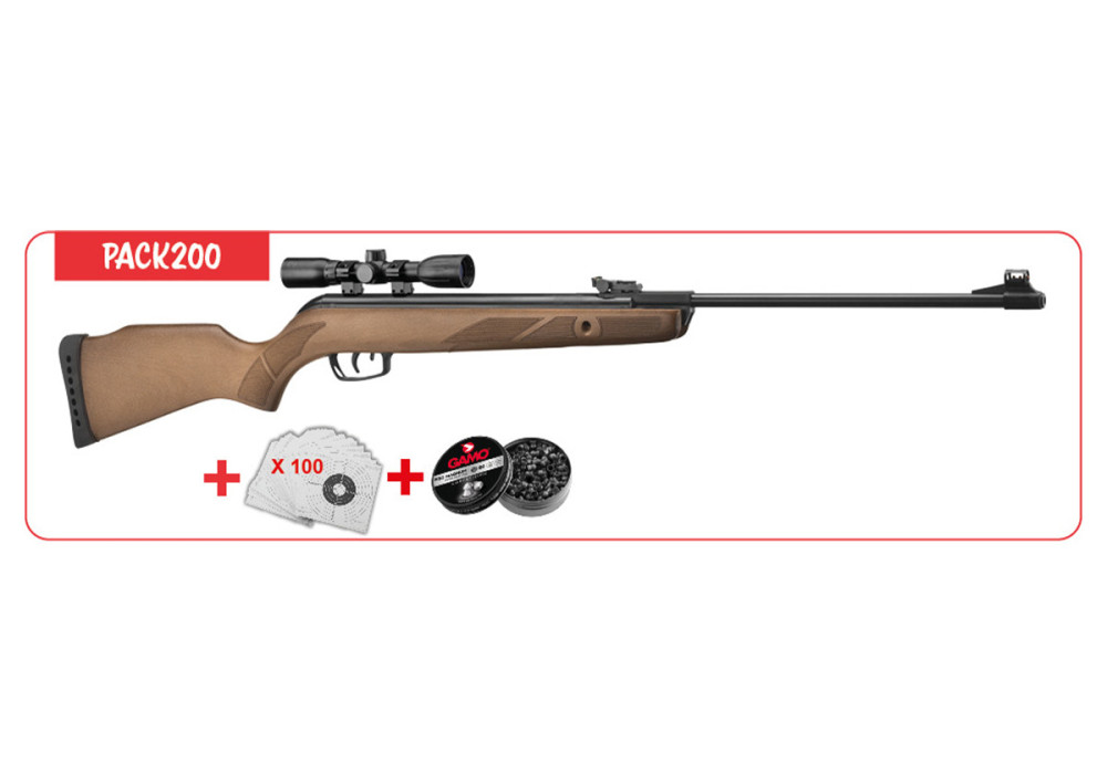 Pack carabine 4.5mm (Plomb) GAMO BIG CAT HUNTER + LUNETTE + CIBLES + P