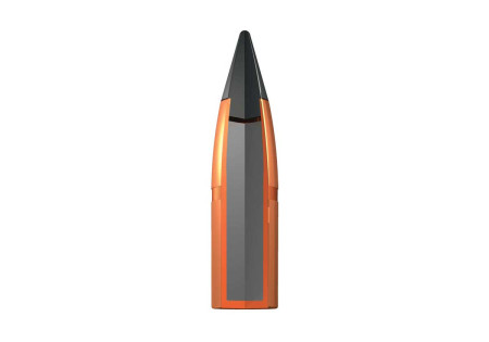 Cartouches EXTREME POINT CALIBRE 300 WIN MAG 180gr (11.7g) WINCHESTER X20 - Catégorie C