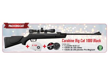 Pack Carabine Gamo Quiet Black 4,5mm silence +lunette 4×32 WR+